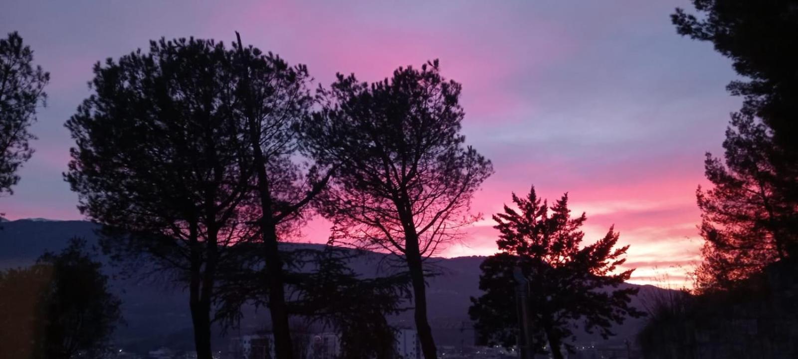 Bed and Breakfast Parco Dei Gelsomini Ascoli Piceno Zewnętrze zdjęcie
