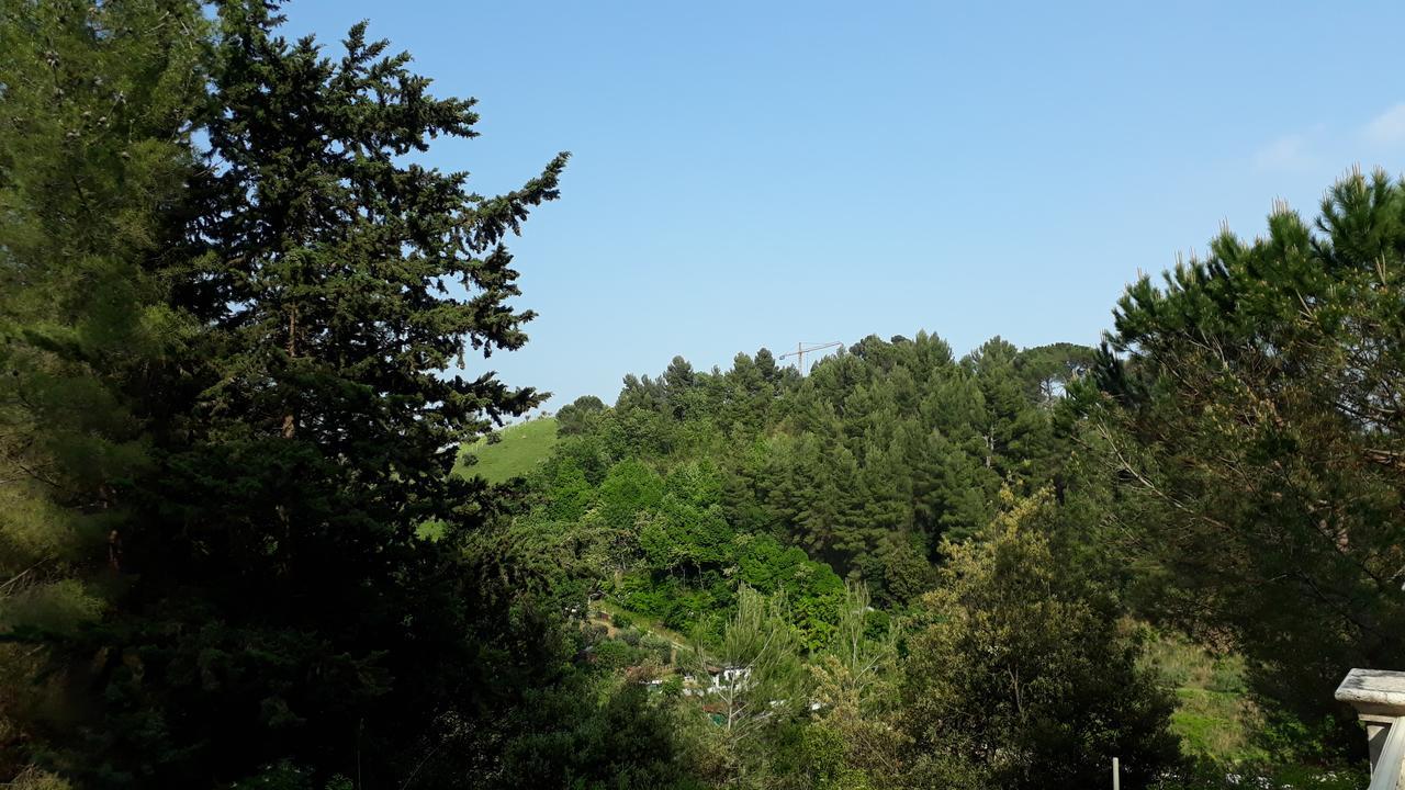Bed and Breakfast Parco Dei Gelsomini Ascoli Piceno Zewnętrze zdjęcie