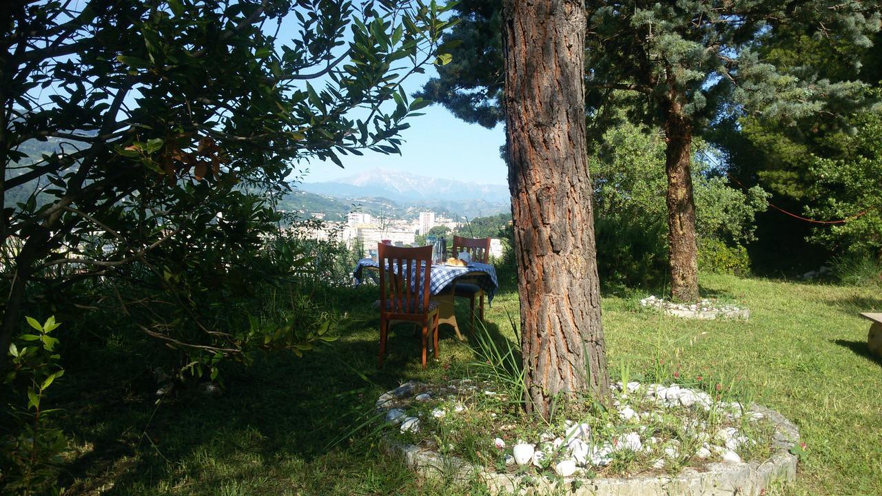 Bed and Breakfast Parco Dei Gelsomini Ascoli Piceno Zewnętrze zdjęcie