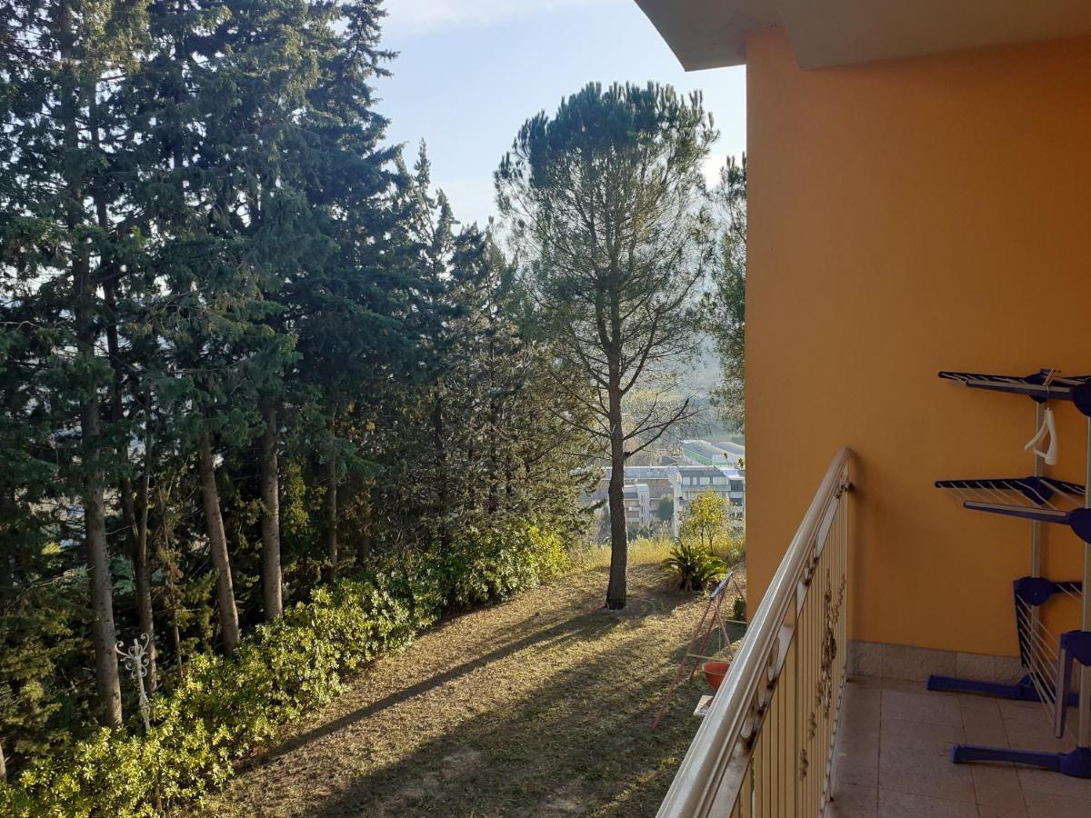 Bed and Breakfast Parco Dei Gelsomini Ascoli Piceno Zewnętrze zdjęcie